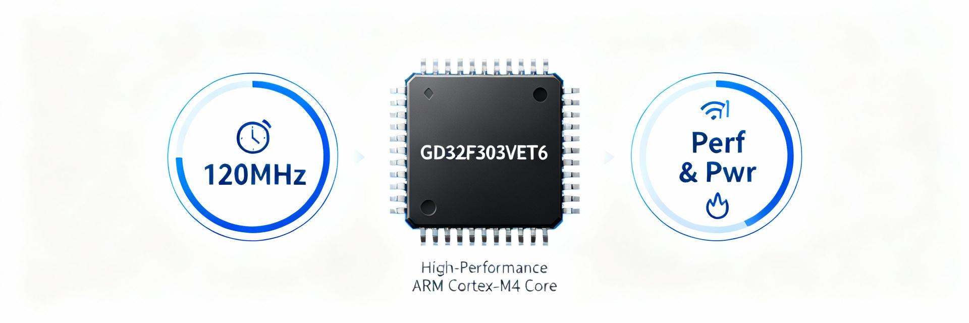 GD32F303VET6 Architecture Analysis